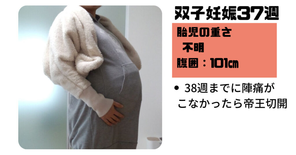 【双子妊娠10ヵ月（36週～）】管理入院から退院！腹囲は1メートルごえ